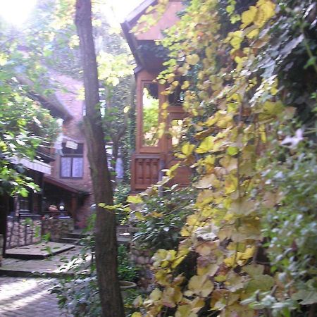 Gite Le Riesling Bergheim Bagian luar foto