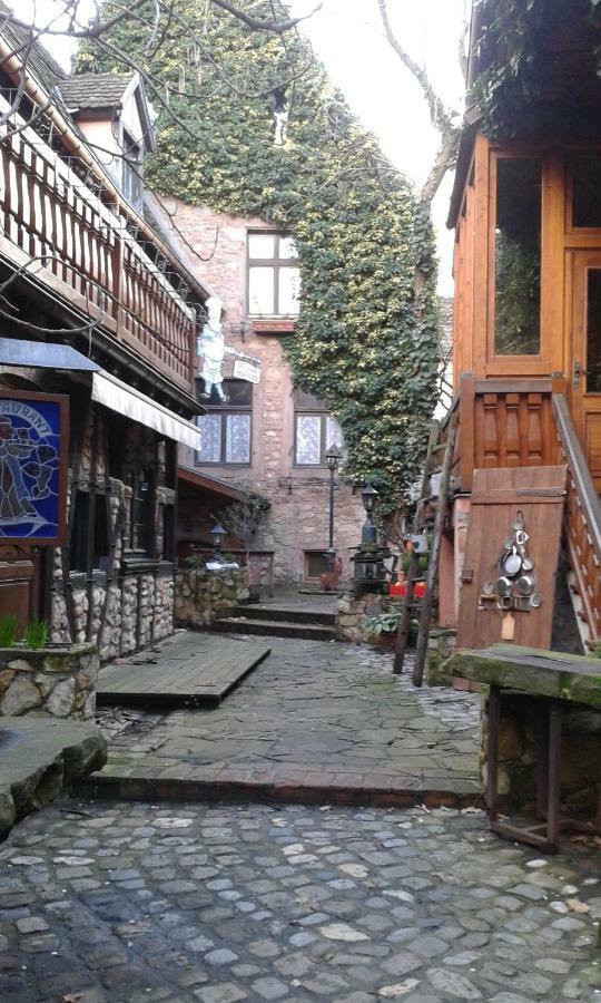 Gite Le Riesling Bergheim Bagian luar foto