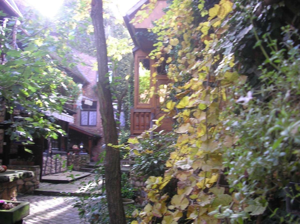 Gite Le Riesling Bergheim Bagian luar foto